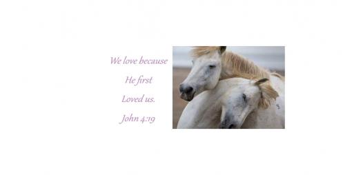 107503680_10220531438149491_1516040563212819246_o