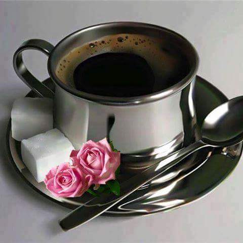 13327529_10201625761561784_2497295271098147967_n_10201625761561784