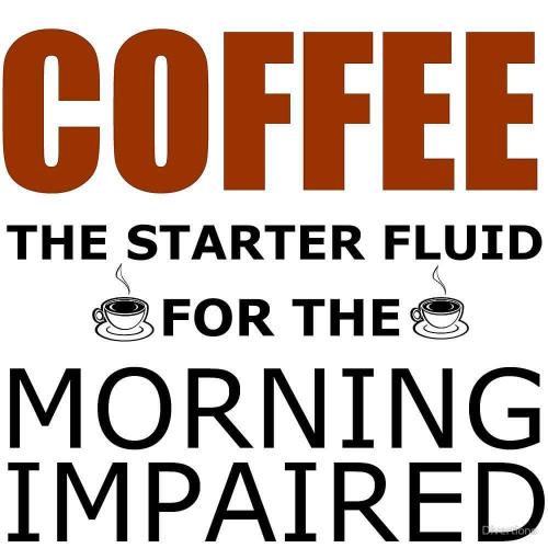 14107617_10201931024993179_7100078980299271214_o_10201931024993179