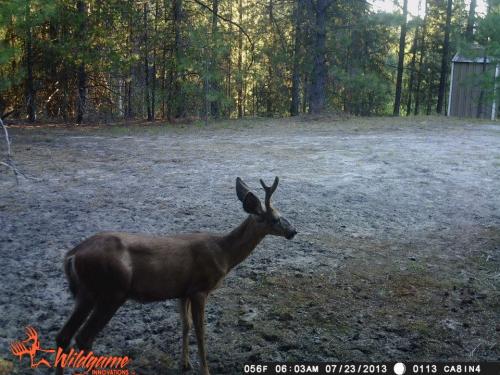 1001570_10201794157314229_806468026_n_10201794157314229