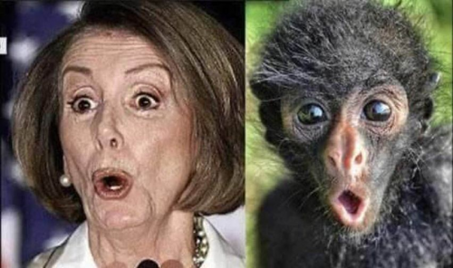 Pelosi