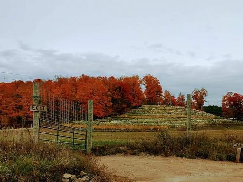 18:05:18 GMT-0400 (EDT)