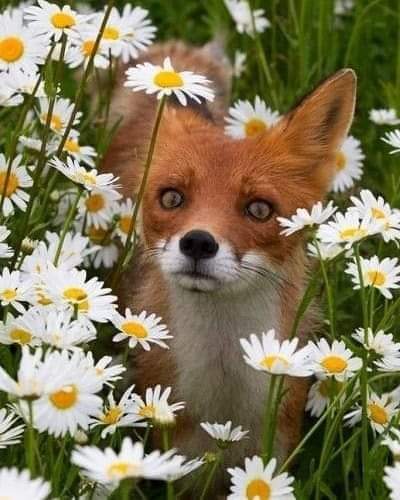 13:06:42 GMT-0500 (CDT)