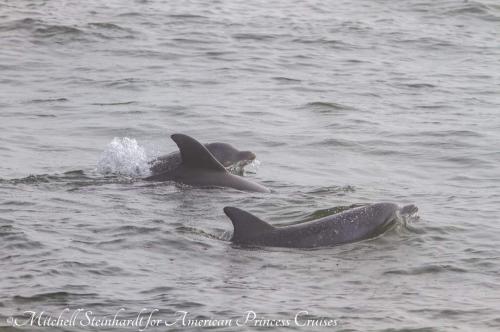 21:42:56 GMT-0400 (EDT)