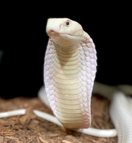 121126703_3202033846575136_6015154417072878776_o