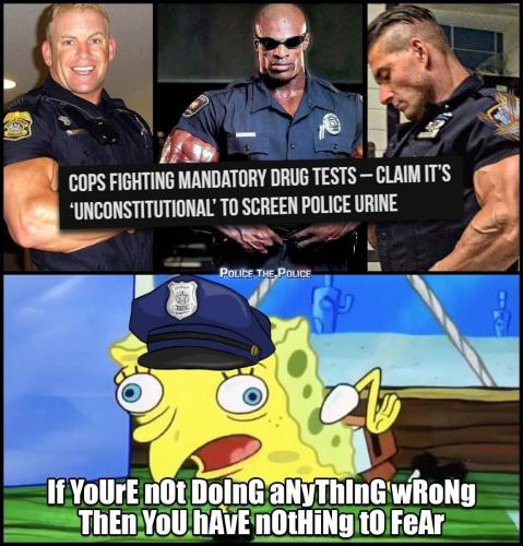 121556136_377752483554475_5889367757352321585_o