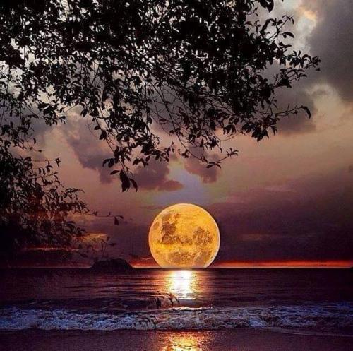 60307162_10219025669772222_5476666146641936384_n