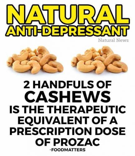 22448440_10203682346135113_6497444528398661939_n_10203682346135113