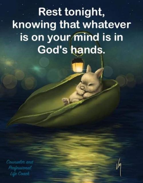 FB_IMG_1597462448765