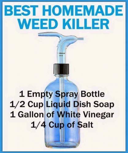 20264770_10203382673963496_9054643814127241499_n_10203382673963496