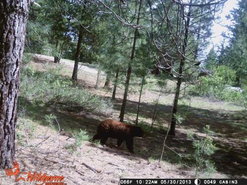 999819_10201513534378831_1916041482_n_10201513534378831