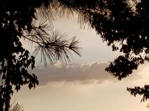 20201003_074259