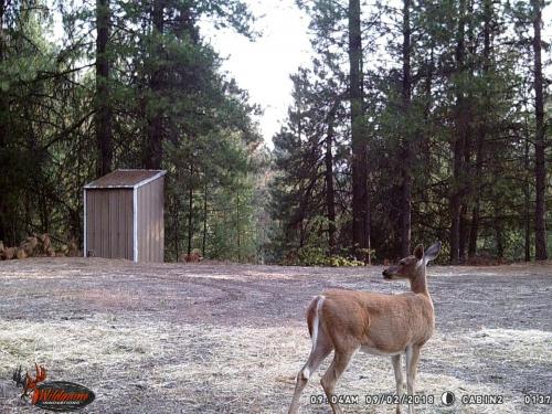 41530588_10217220229316388_6898473911311138816_o_10217220229196385