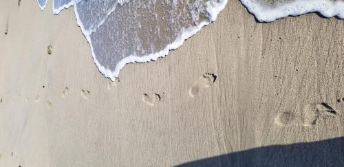 footprints
