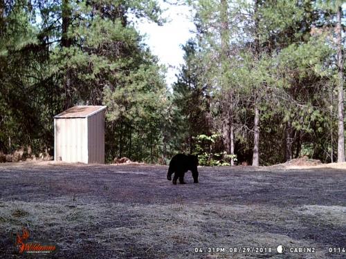 41514479_10217220228916378_6095593950725275648_o_10217220228876377