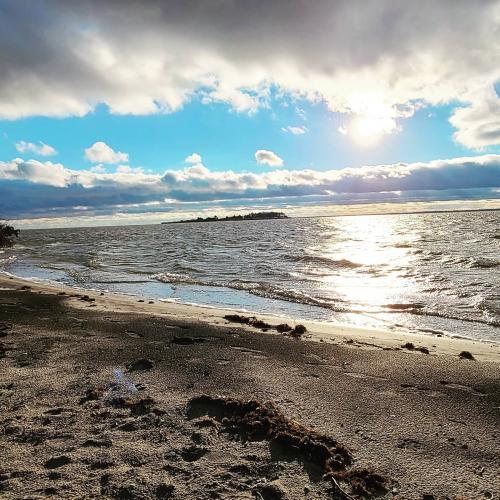 07:29:15 GMT-0400 (EDT)