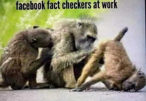 Monkeys doing what Monkeys do.