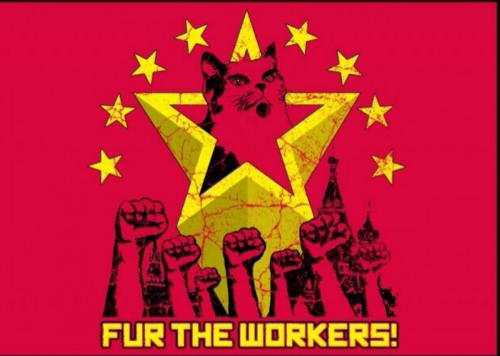 14086413_10201950361036568_9117996054921185982_o_10201950361036568