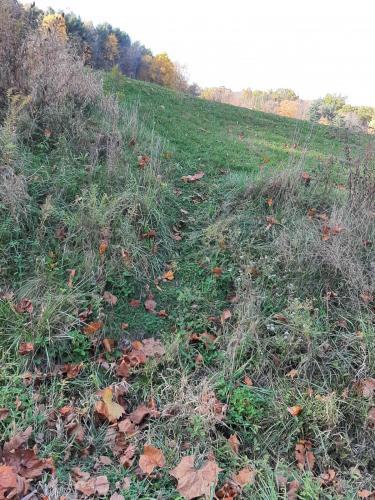 21:45:06 GMT-0400 (EDT)