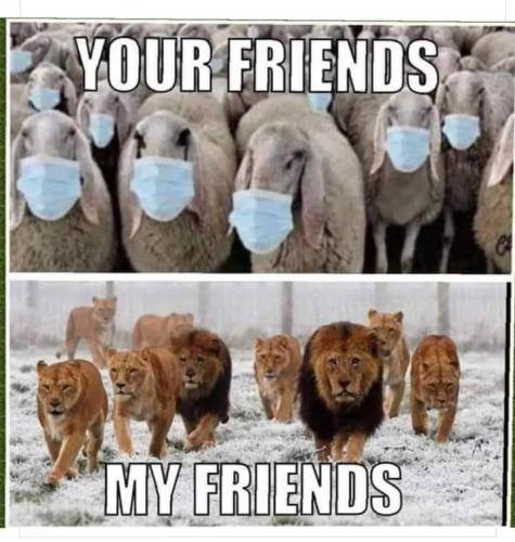 05909e9cf43bcdb85fc480f538138f8b