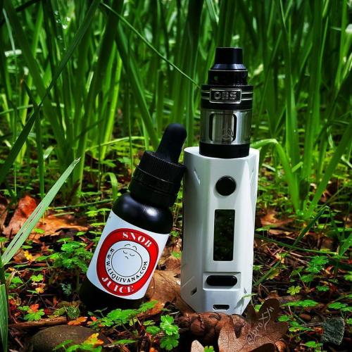 17834810_1467635023267186_7897760360750186314_o