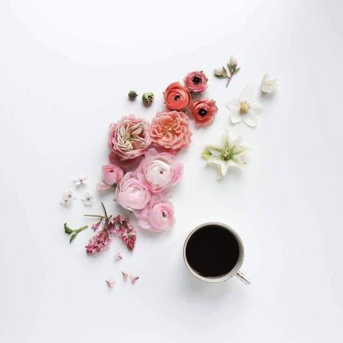 13002570_10201479348021537_8294335995420374208_o_10201479348021537