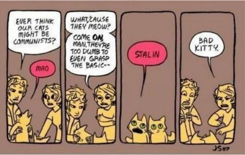 14067833_10201950359476529_368414663539414398_o_10201950359476529