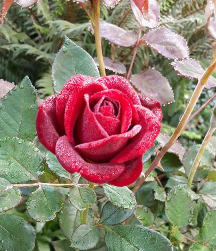 17:21:25 GMT-0700 (PDT)