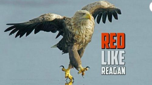 Red like Reagan
