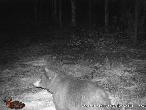 46942705_10217827185289908_5447889500686516224_o_10217827185249907