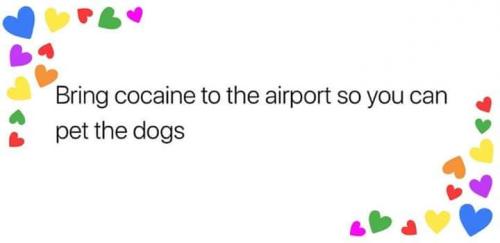 48358865_10205186760024520_2587181075251855360_n_10205186759984519