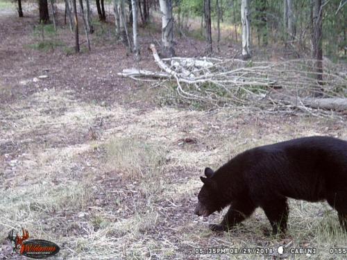 41481222_10217220278917628_1037445377504051200_o_10217220278837626