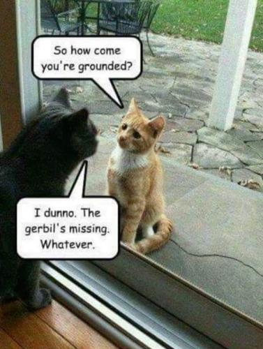 FB_IMG_1592264904359