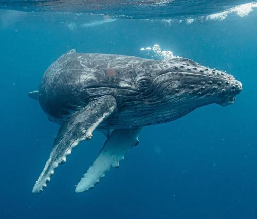 123040257_3472658316106045_3868253372270572885_o