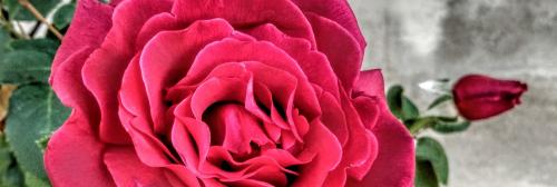 IMG_20200620_072952459_HDR~4