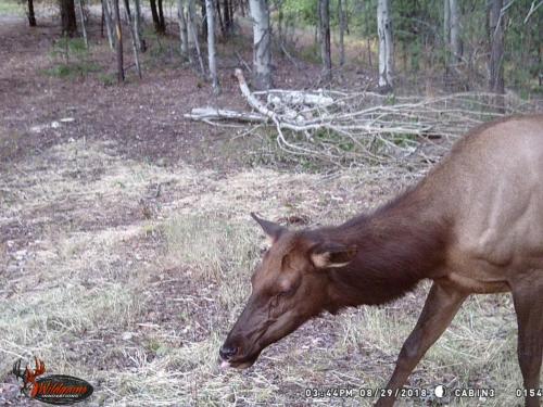 41530582_10217220280757674_7784702930661146624_o_10217220280597670