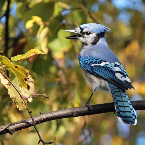 120407487_3811833912177344_7148265317549215360_o