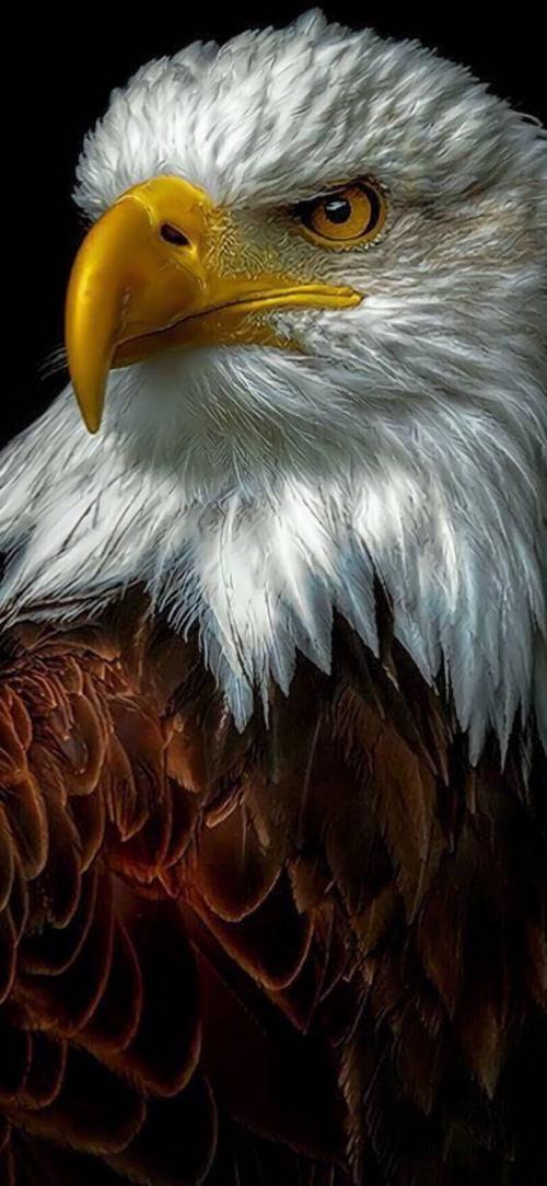 18:02:19 GMT-0500 (CDT)