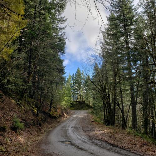 13:37:51 GMT-0700 (PDT)