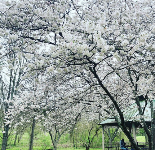 20:48:59 GMT+0100 (WAT).png