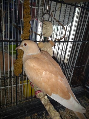 18:19:27 GMT-0500 (CDT)