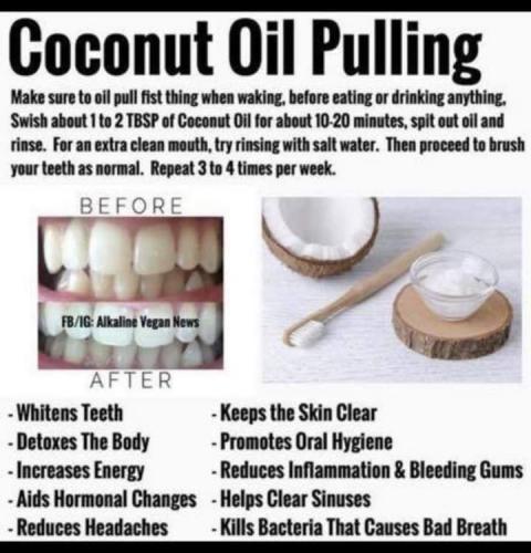 FB_IMG_1599679369668