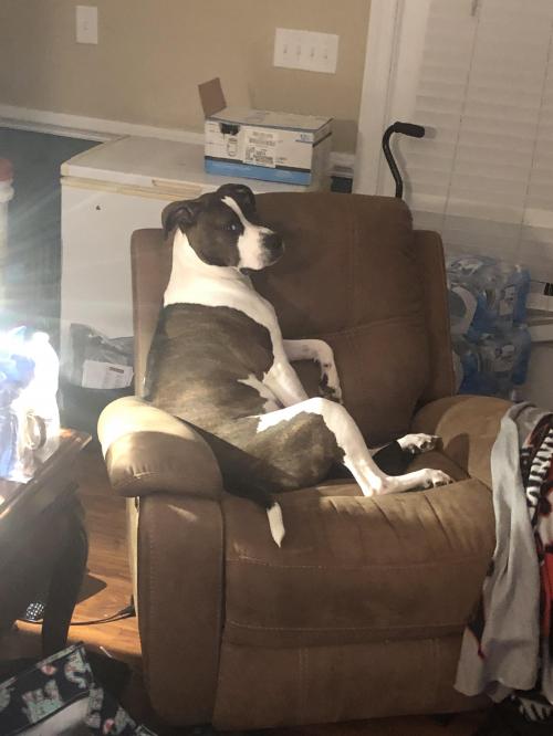 C333C5F8-32BF-4250-BE9A-D8D3824770FC