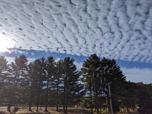 20:15:55 GMT-0400 (EDT)