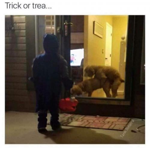 19:39:01 GMT-0400 (EDT)