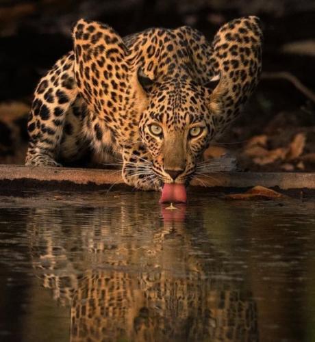 tumblr_6a088af453f7b30adf6cfd32d73deda1_fb9292e7_540