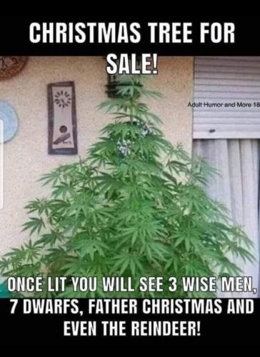 08:17:02 GMT+0100 (BST)