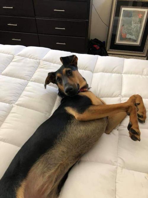 16:39:14 GMT+0100 (WAT)