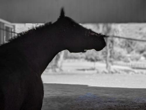 00100lrPORTRAIT_00100_BURST20201001100001434_COVER~2