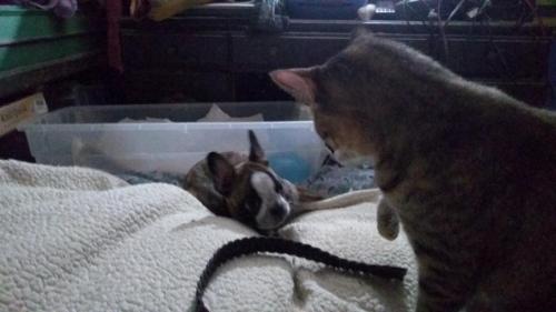 07:12:54 GMT-0500 (CDT)